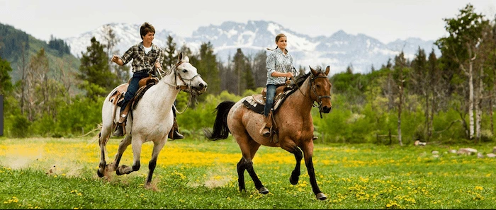 Confident plus-size woman riding Harpenden a horse through a field with a smile on her face.